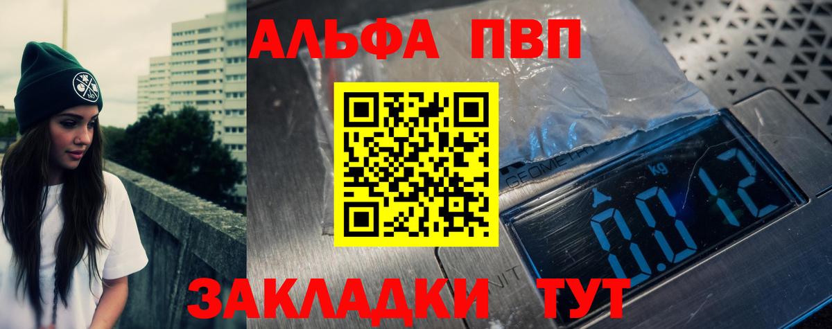 A PVP СК КРИС Владимир