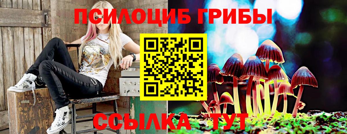 Псилоцибиновые грибы GOLDEN TEACHER Владимир